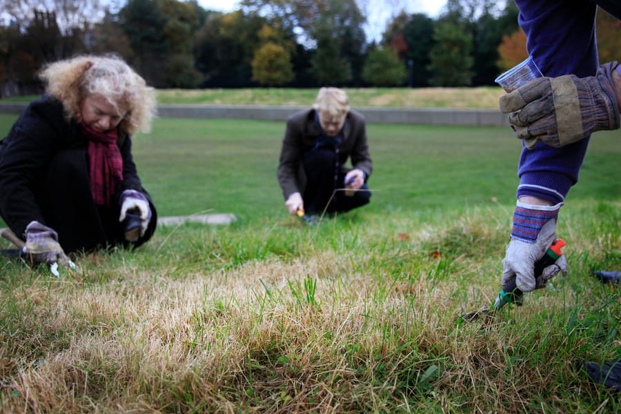 Members of RACE (Real Action on Carbon Emissions) at the Scottish Parliament plant wildflowers and seeds in the landscaped gardens at Holyrood. 