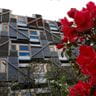 Exterior view of the Scottish Parliament with flowers in the foreground